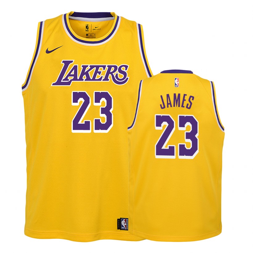Lakers Youth Lebron James #23 2018-19 Icon Edition Gold Jersey