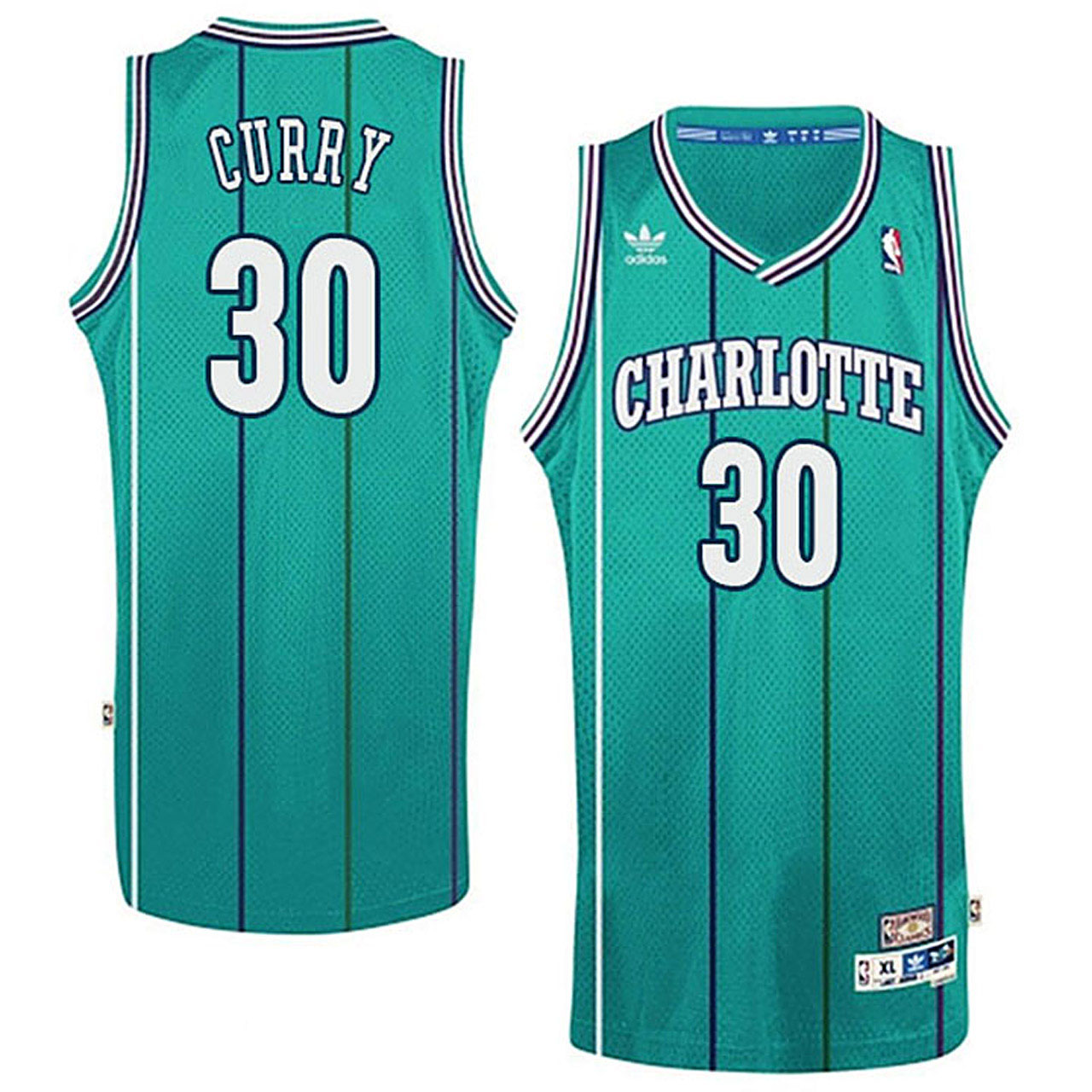 Male Charlotte Hornets Stephen Curry's Dad #30 Dell Curry Hardwood Classics Jersey